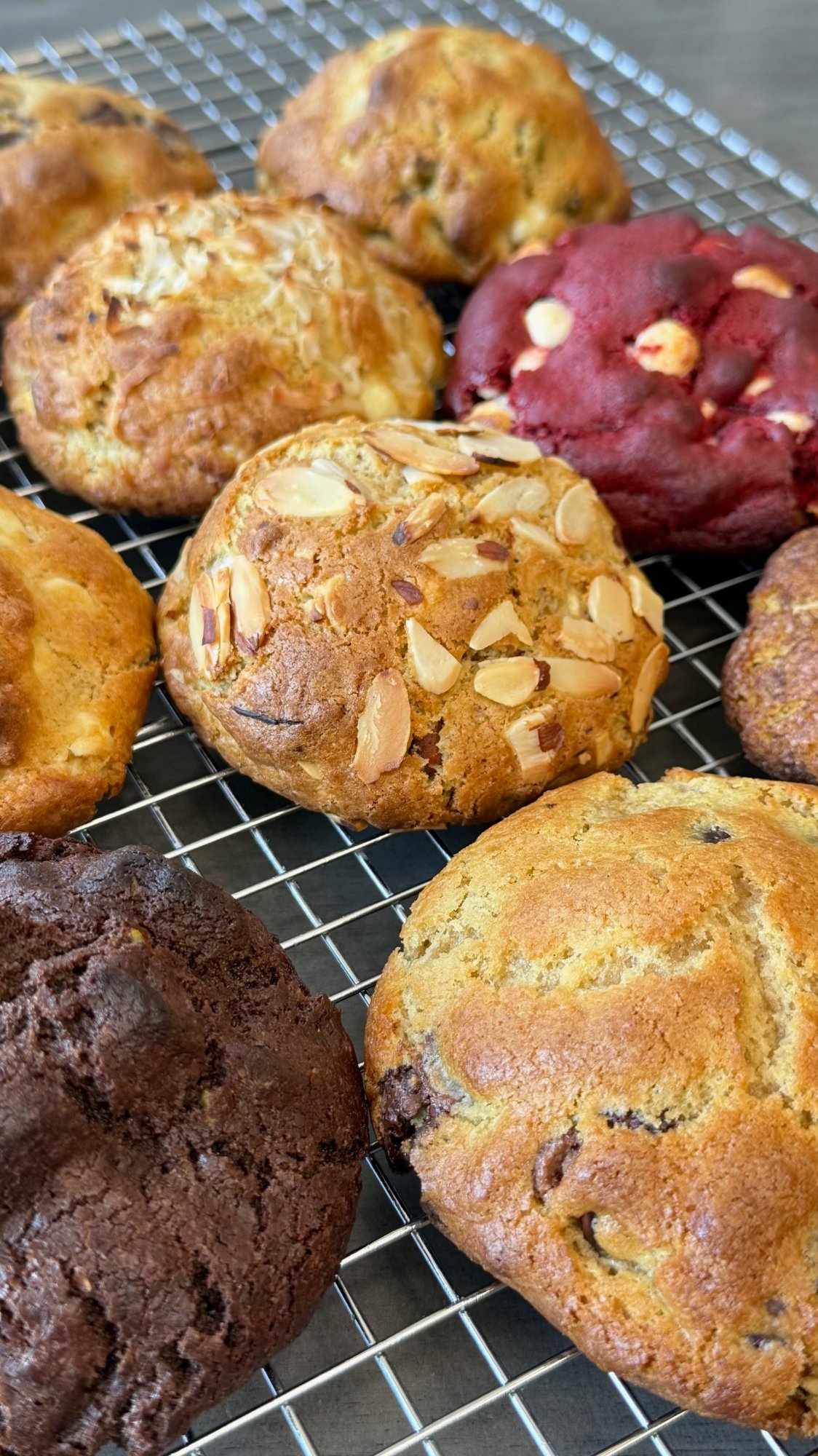 Gourmet cookie assortment Sweet Moon Cookies Memphis TN